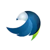 Logo orel services